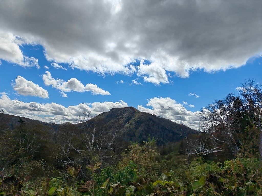 Маршрут экскурсии