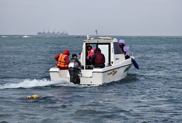 Лежбище Сивучей - фото 6