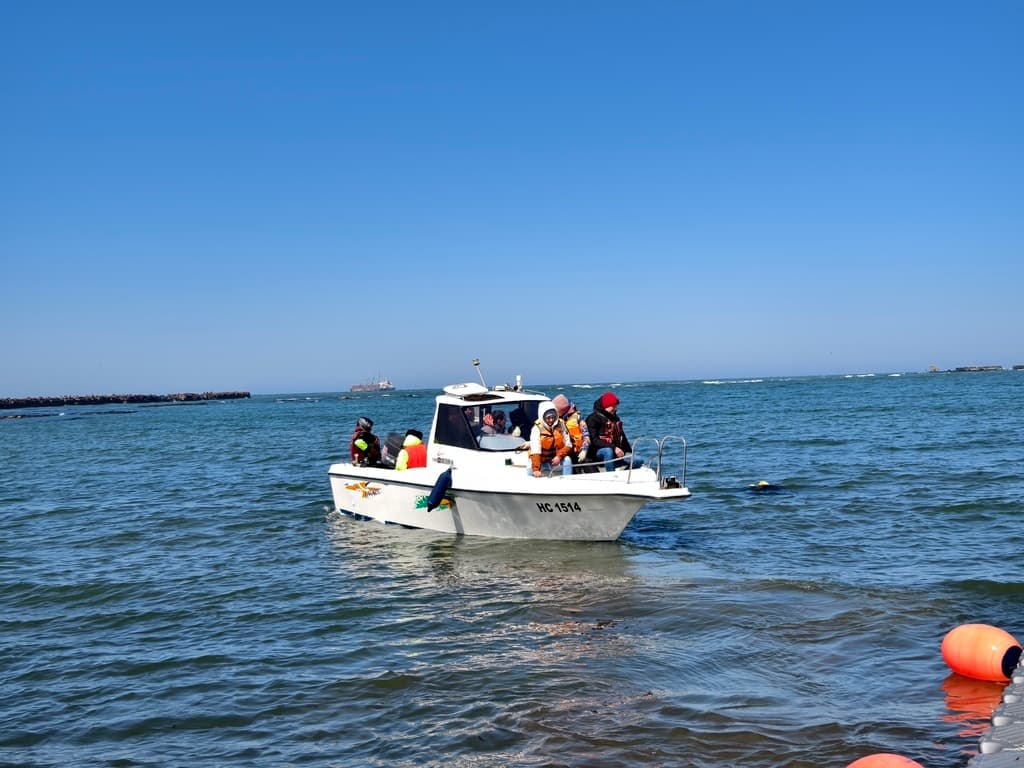 Лежбище Сивучей - фото 7