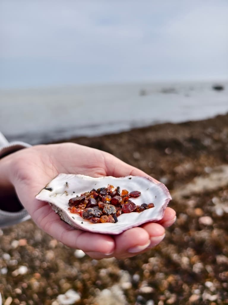 Южное кольцо Сахалина - фото 1