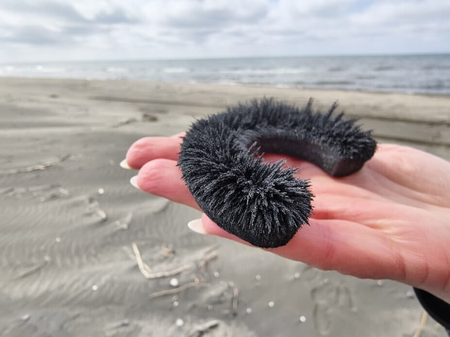 Маршрут экскурсии