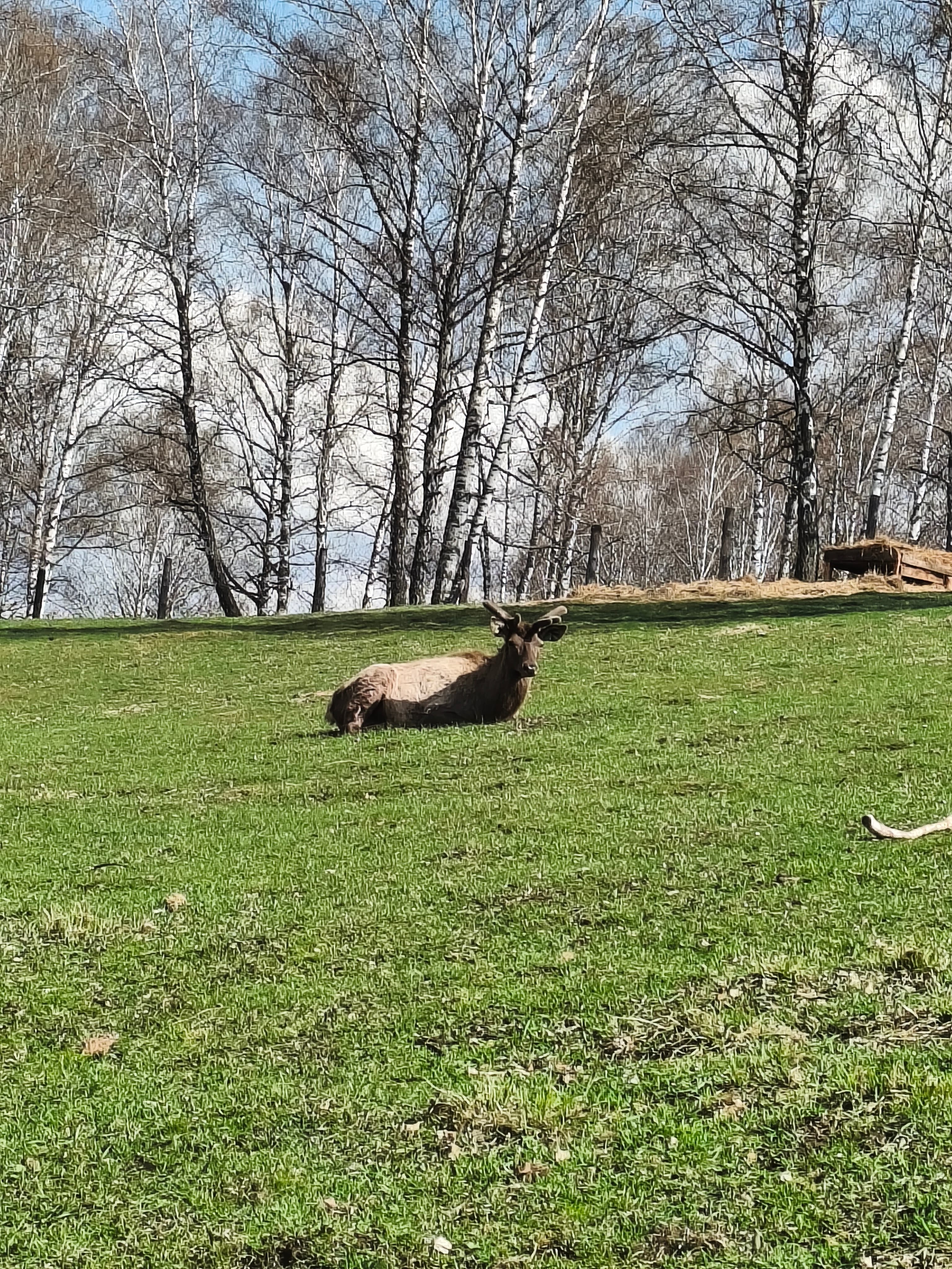 На встречу приключениям