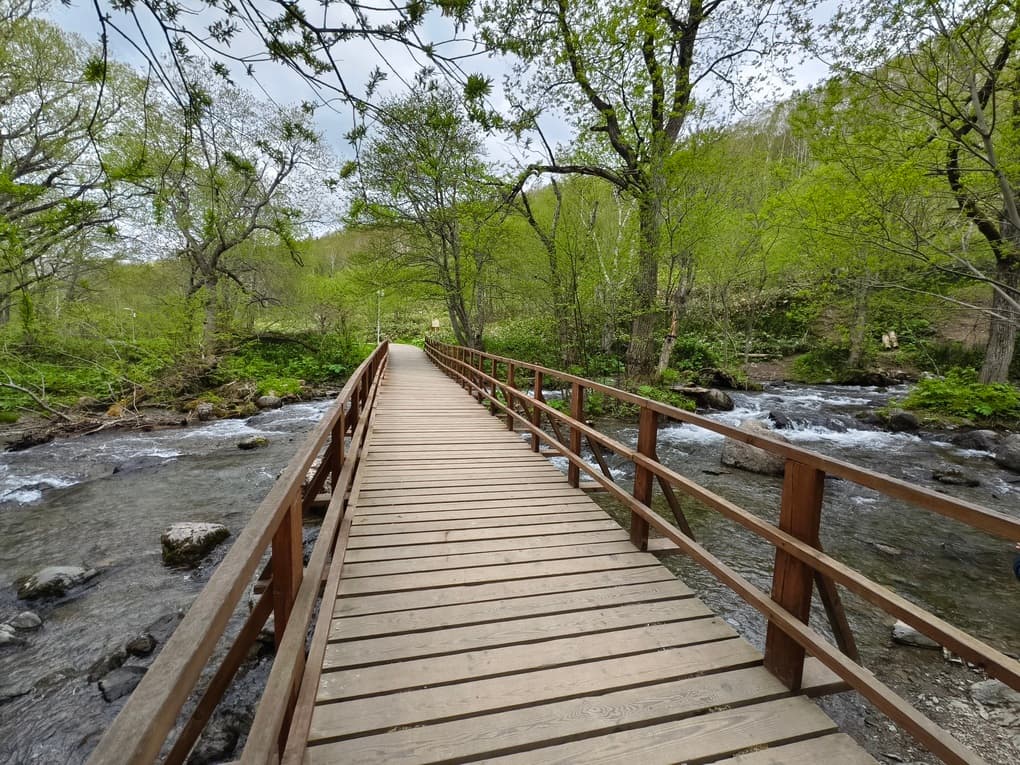 Останец "Лягушка" - фото 1