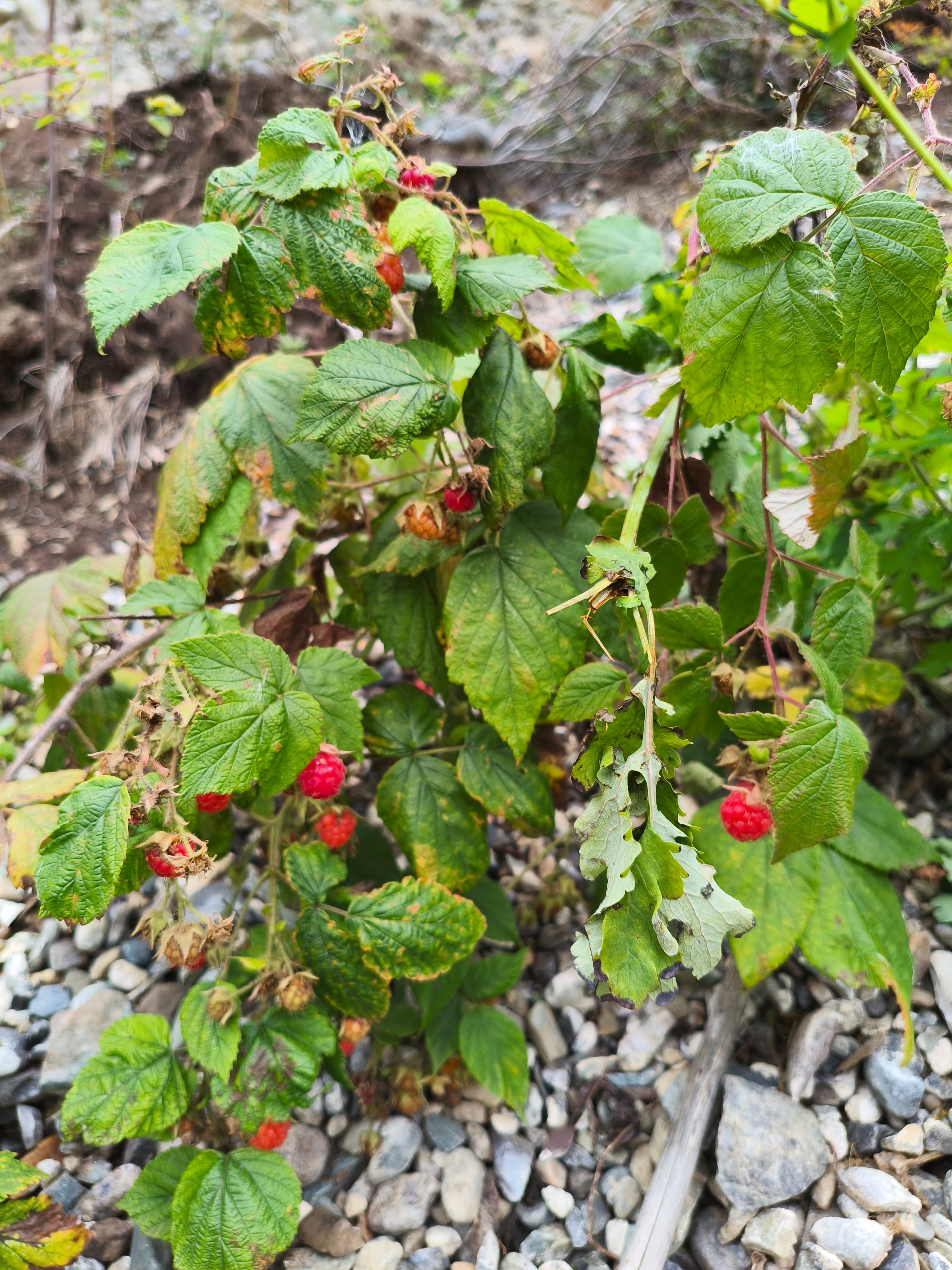 1. Встреча группы, начало путешествия.