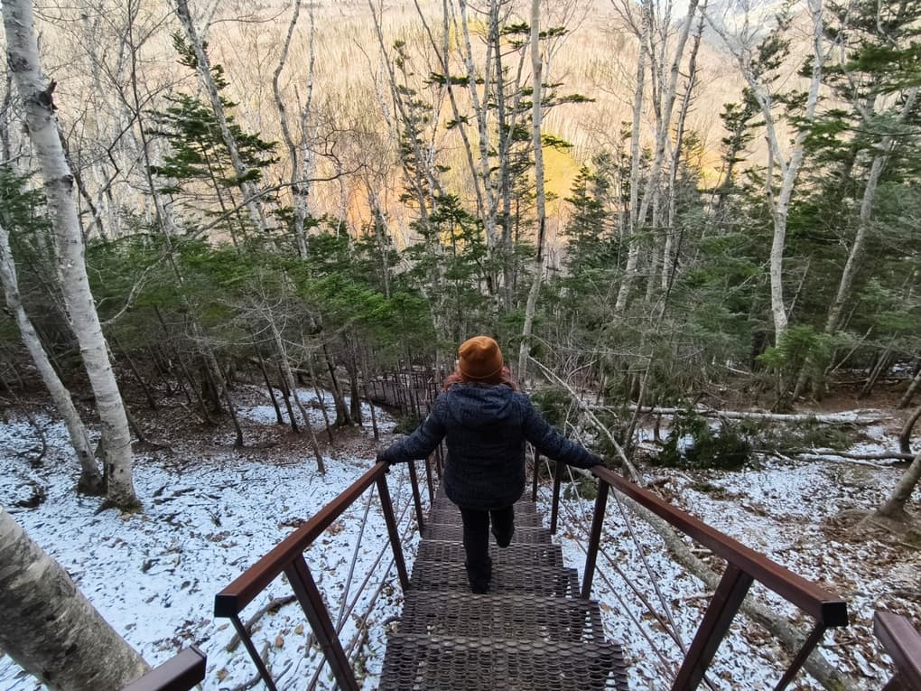 Маршрут экскурсии