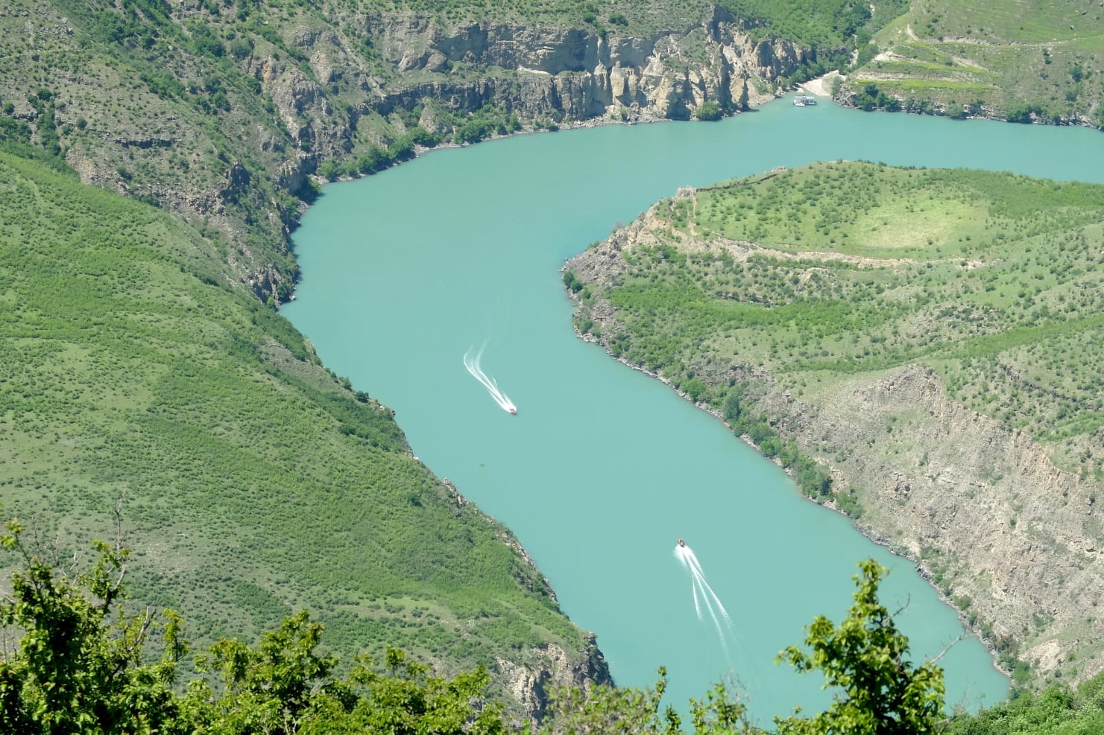 Знакомство с гигантами