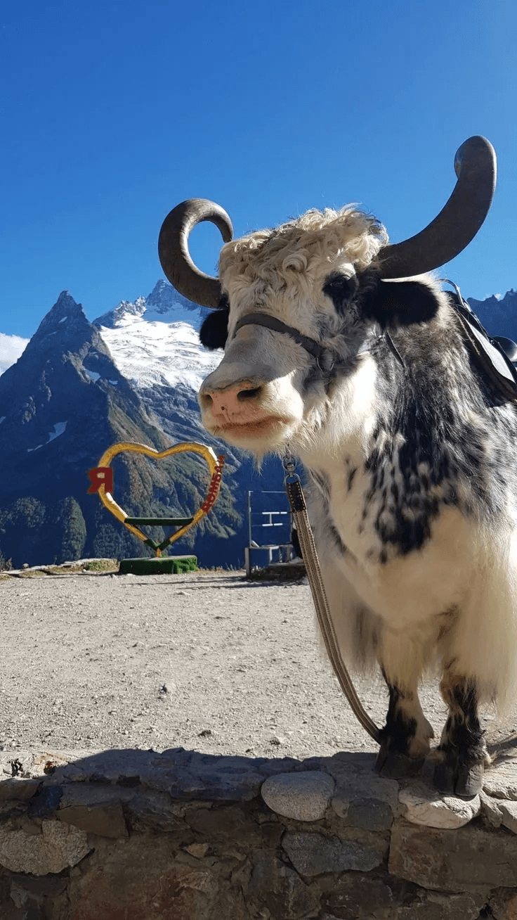 Вояж на Кавказ. Домбай+Архыз - фото 9
