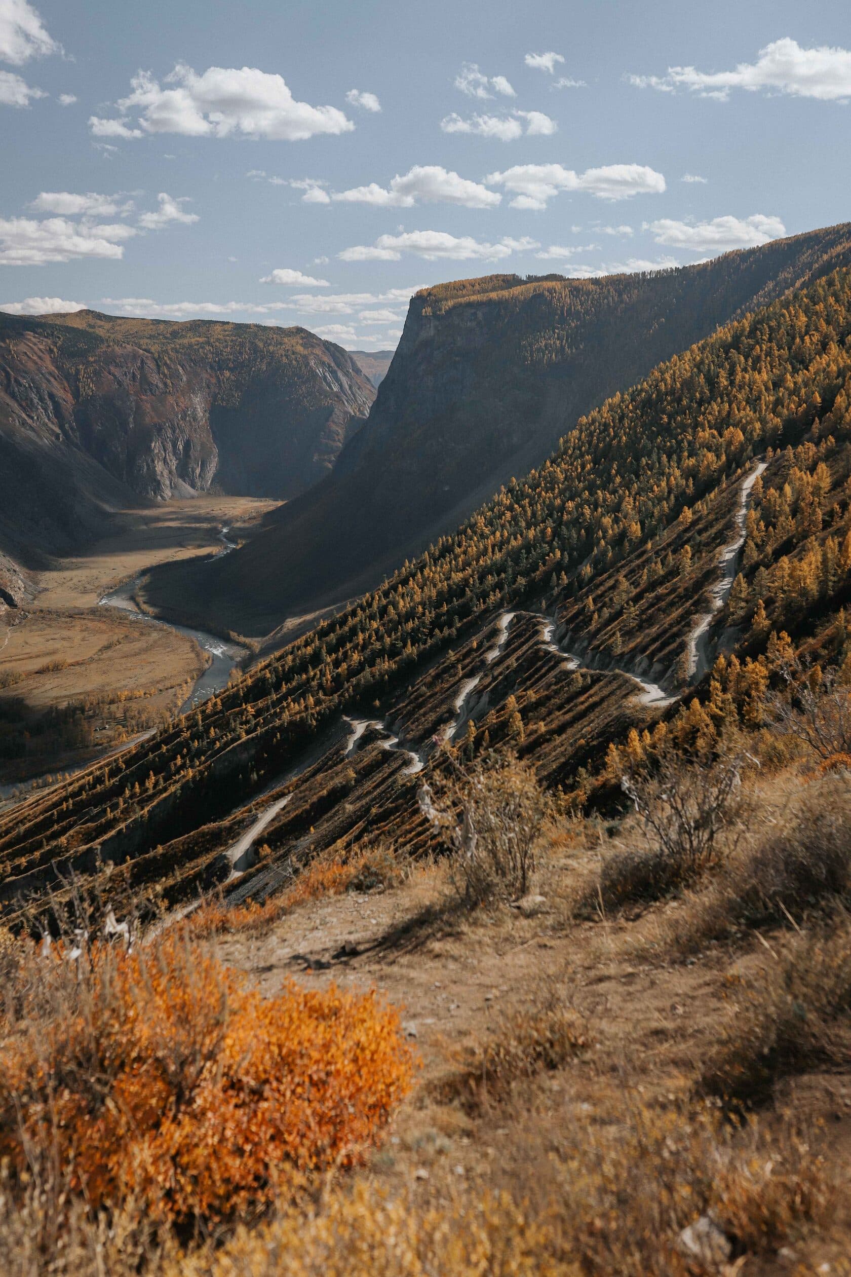 Осенний Алтай ( 5 дней ) - фото 8