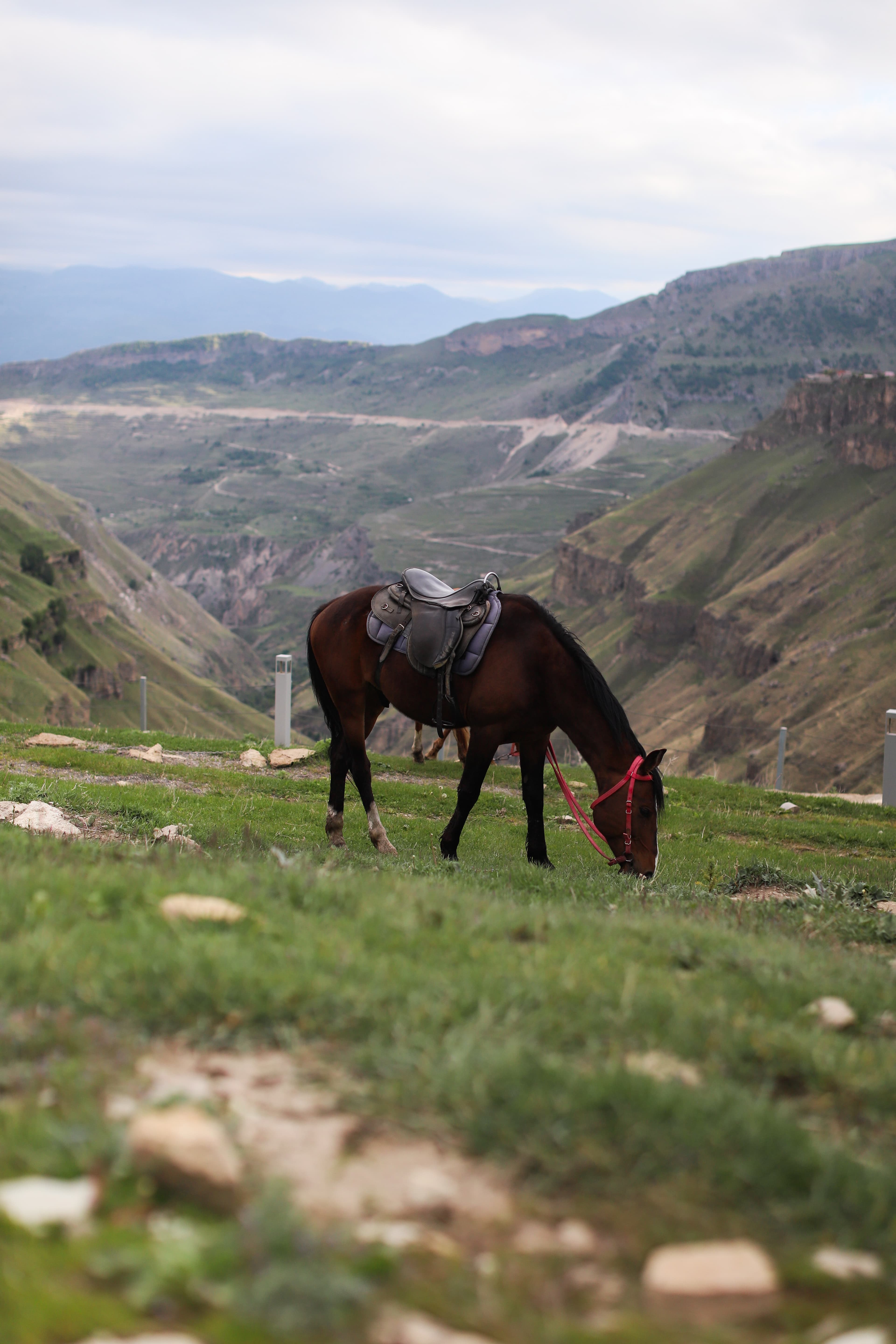 Комфорт-тур Сердце Дагестана. Топ-локации и уникальный маршрут на 5 дней - фото 7