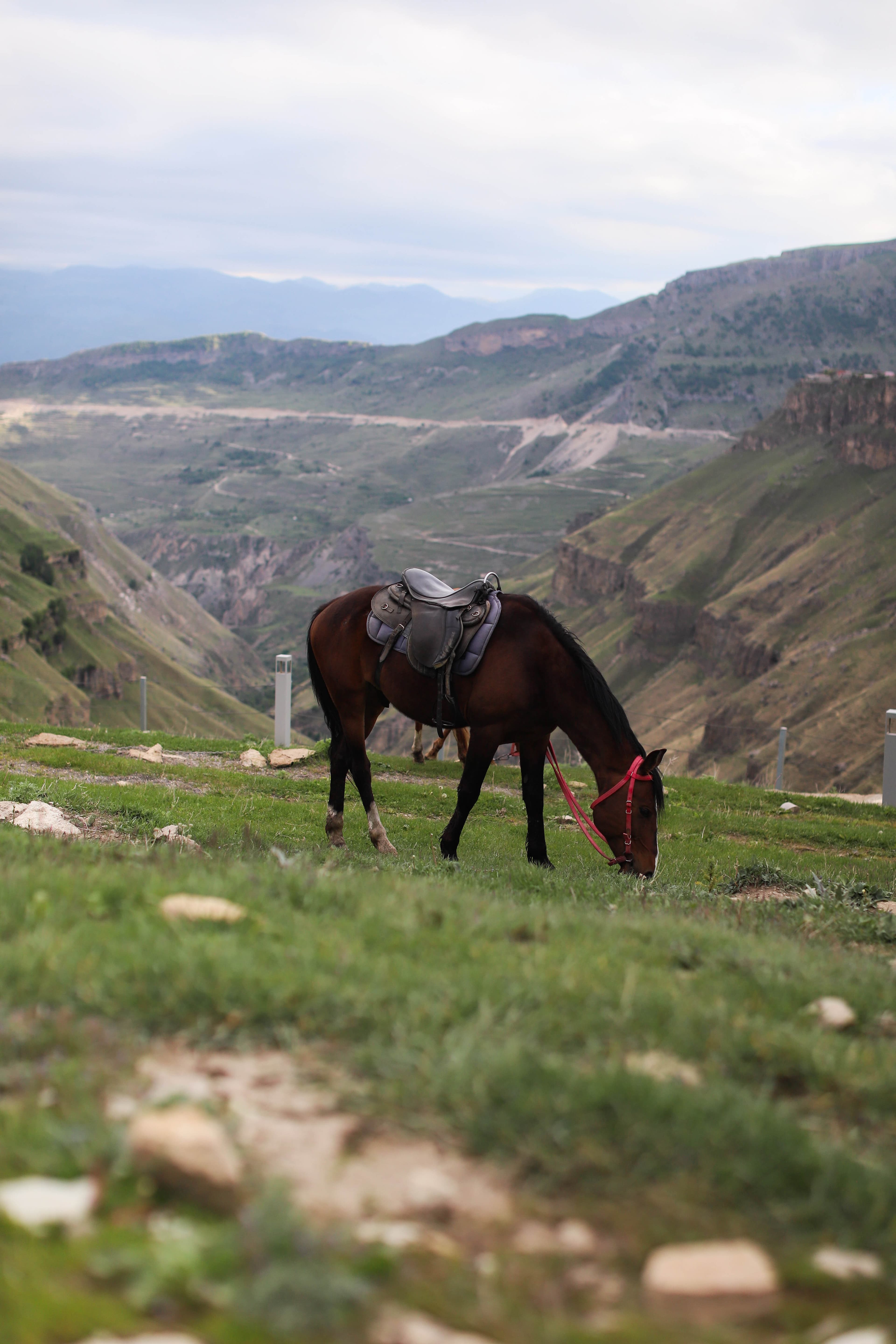 Сердце Дагестана с комфортом. Вся красота Страны Гор за 4 дня - фото 3