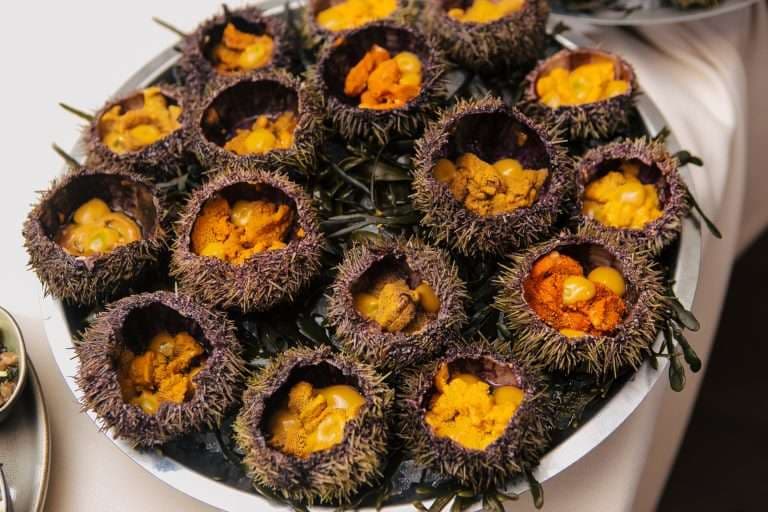 Эксклюзивная гастрономическая экскурсия «Охота на морского ежа» - фото 2