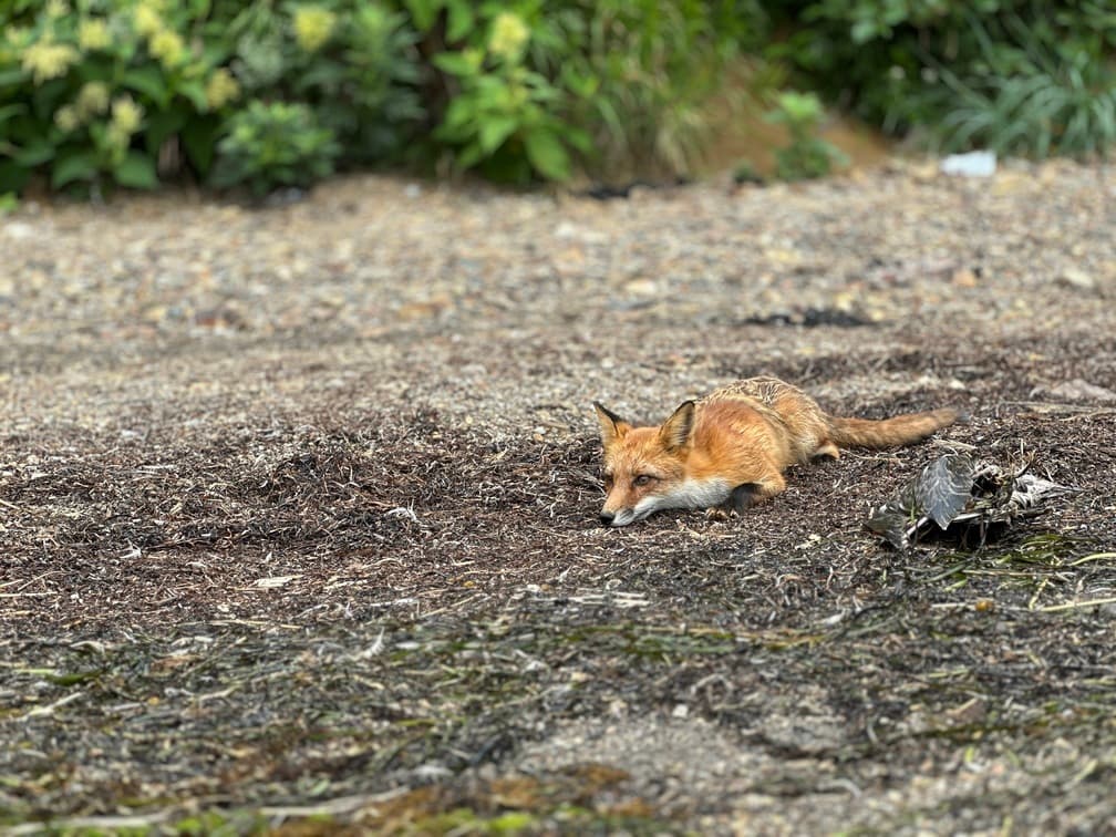Бухта Тихая и Клоковский водопад - фото 7