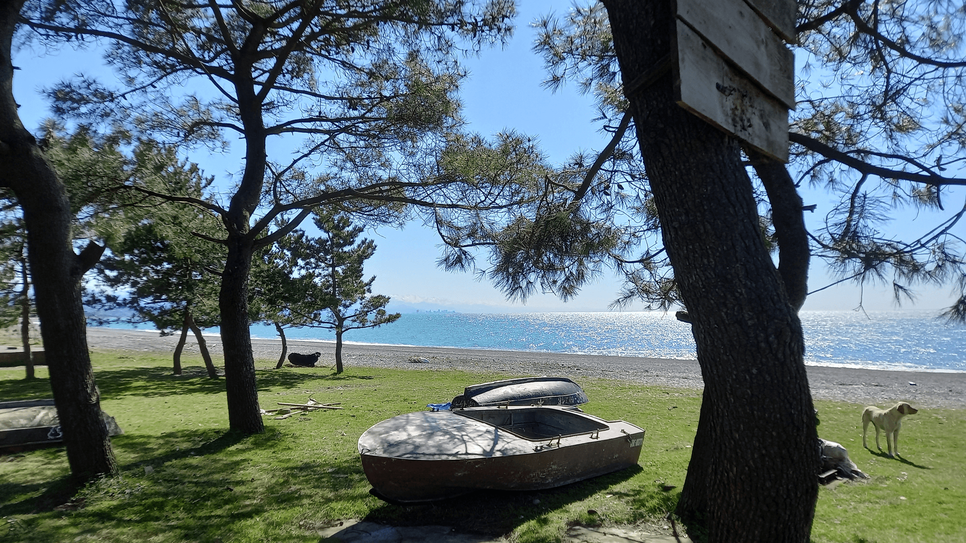 Кобулети - морской курорт Грузии - фото 2