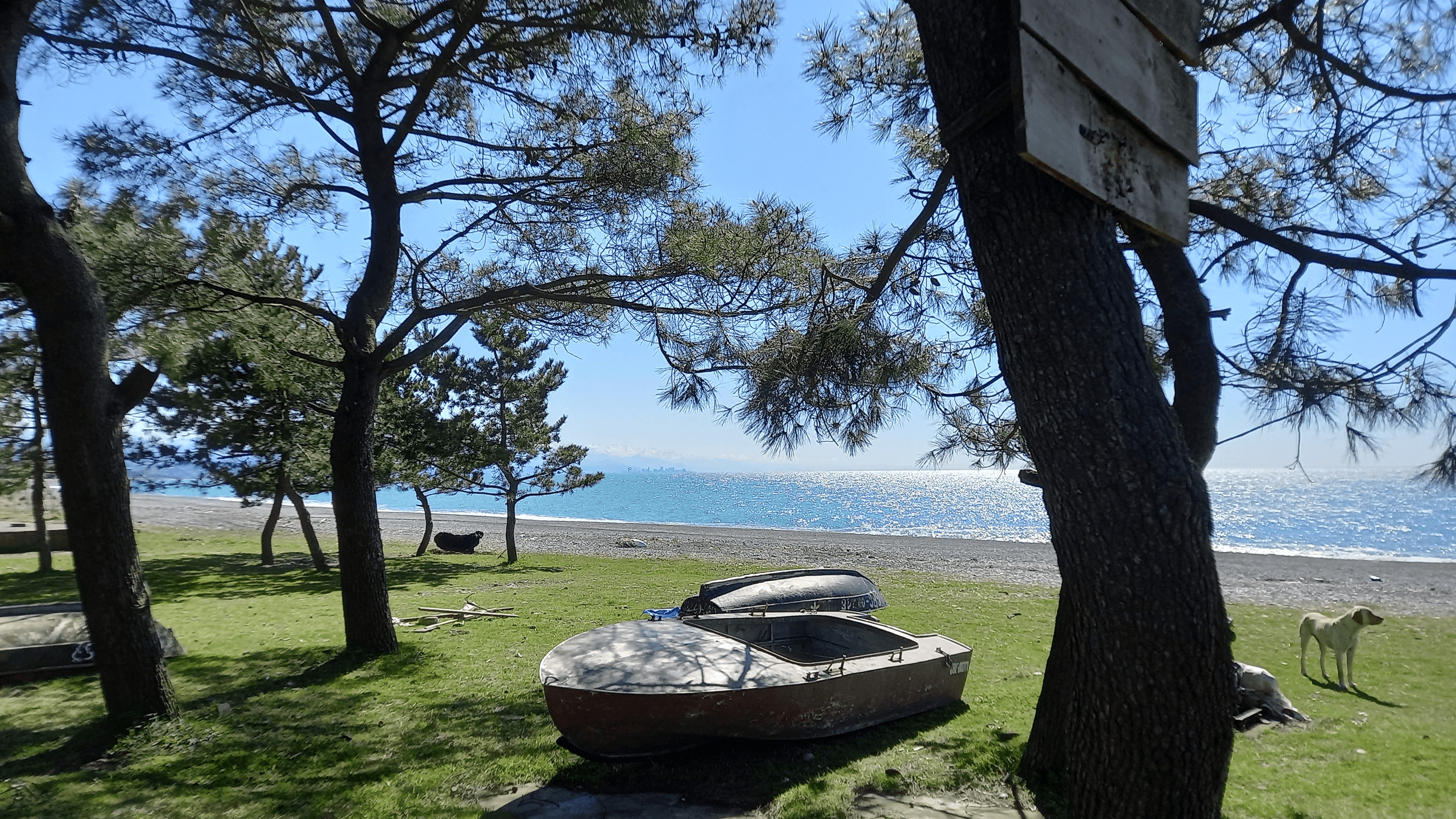 Кобулети - морской курорт Грузии - фото 2