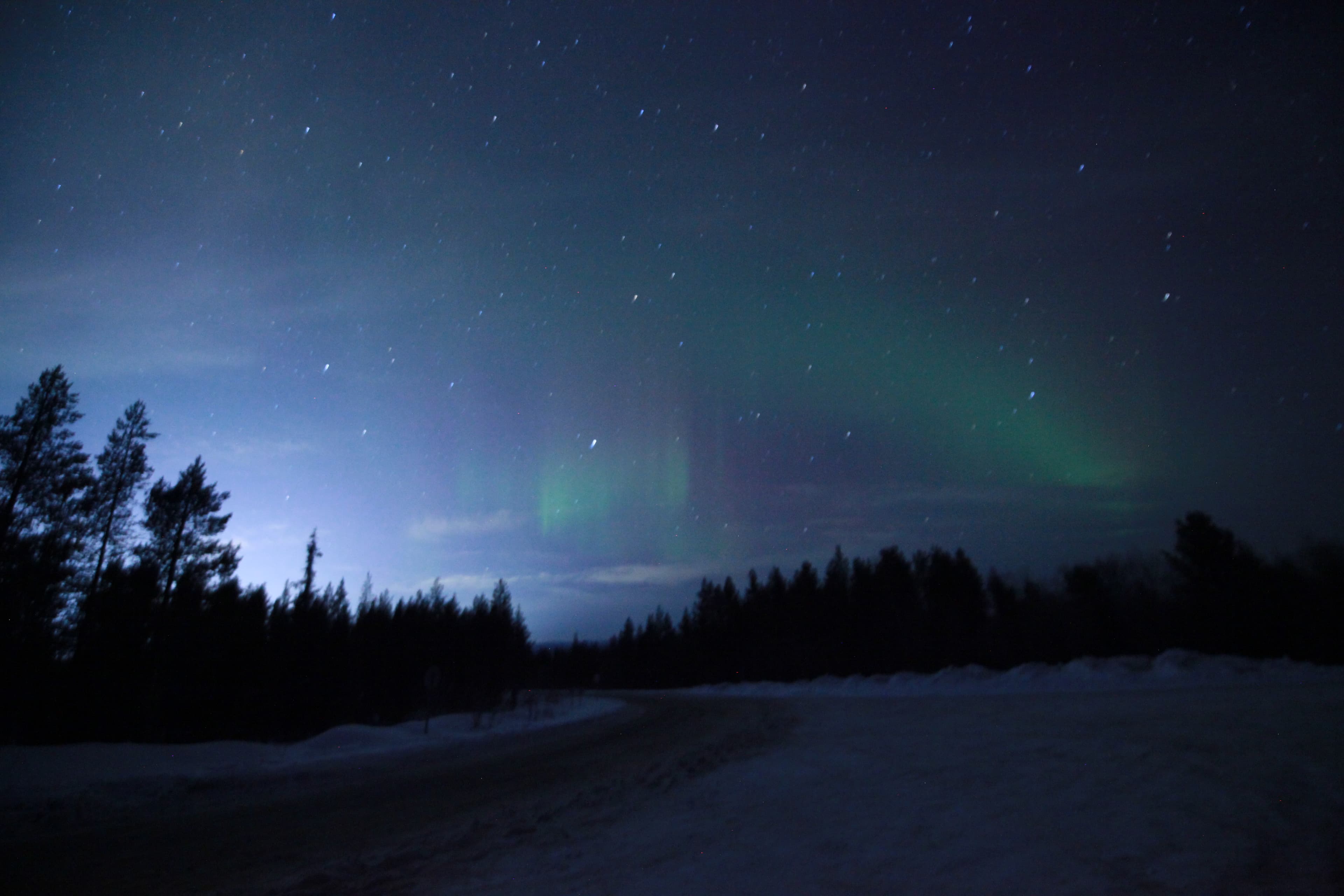 Арктика - фото 6