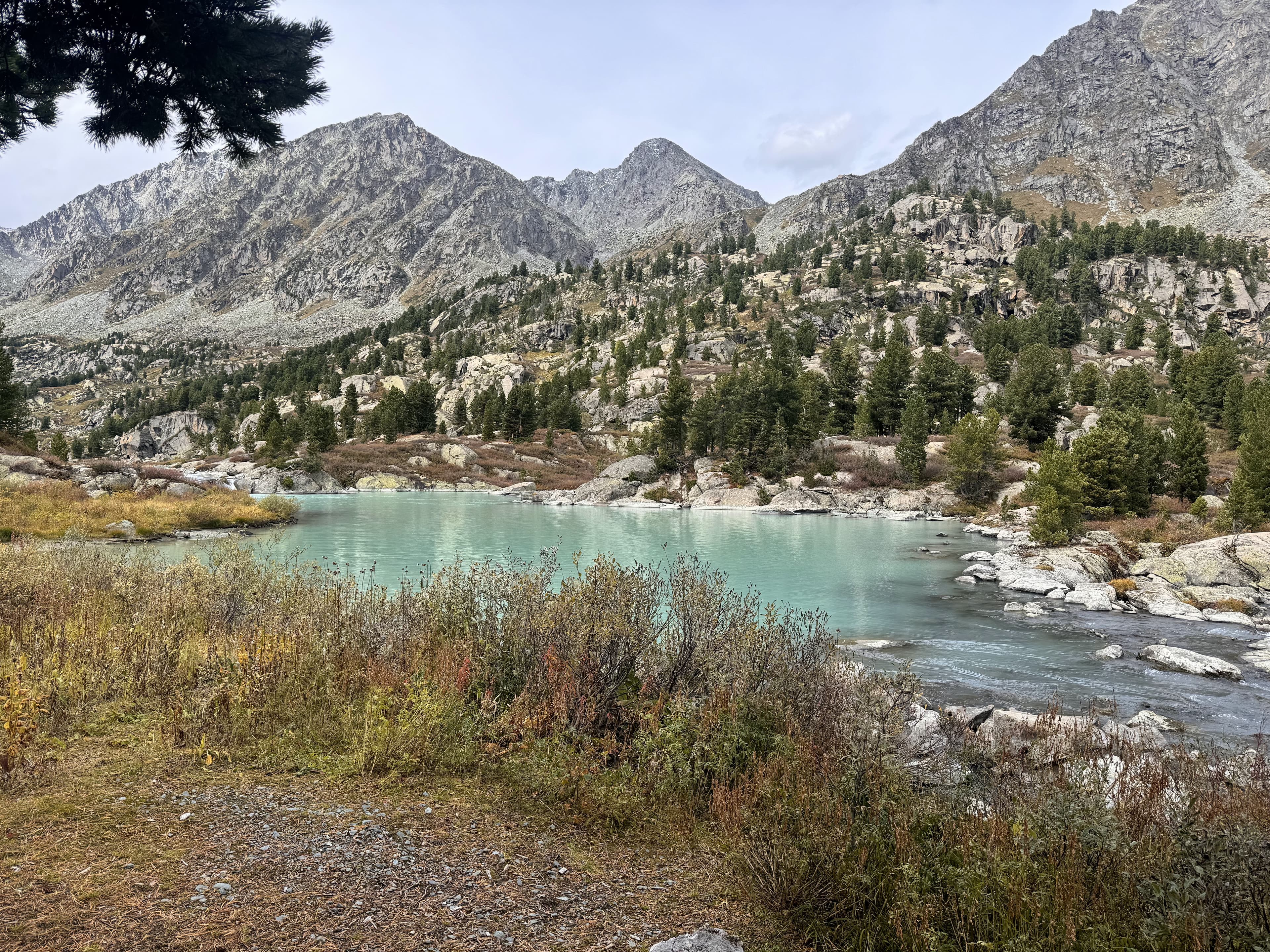 "Золотая Кучерла", пеший поход по Алтаю - фото 8