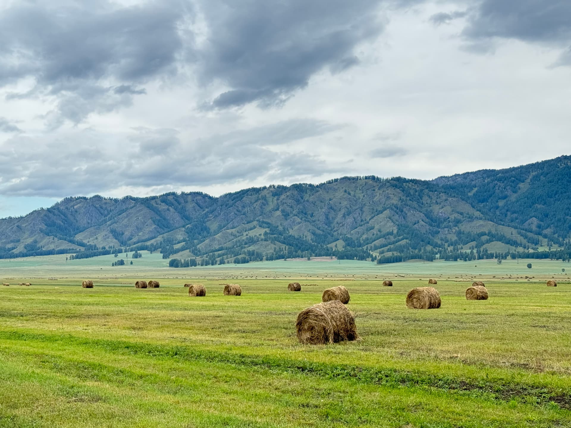 Другой Алтай - Комфорт - фото 3