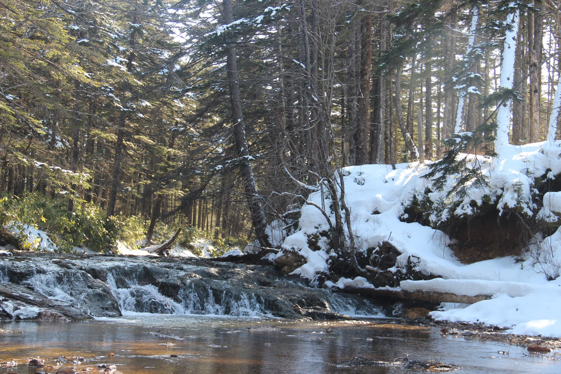 Обзорная экскурсия по красивым локациям острова Кунашир - фото 5