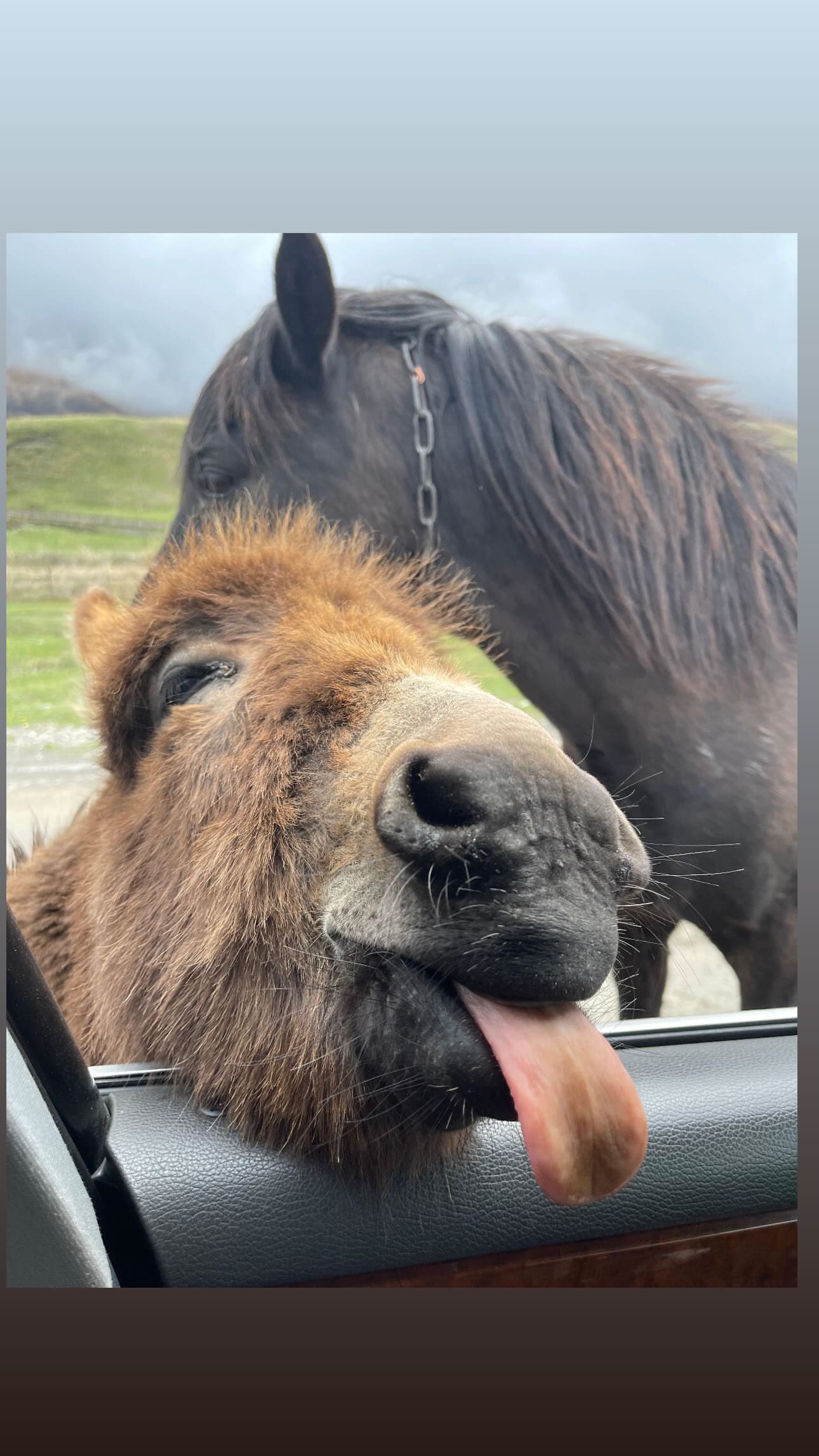 Дагестан - фото 4