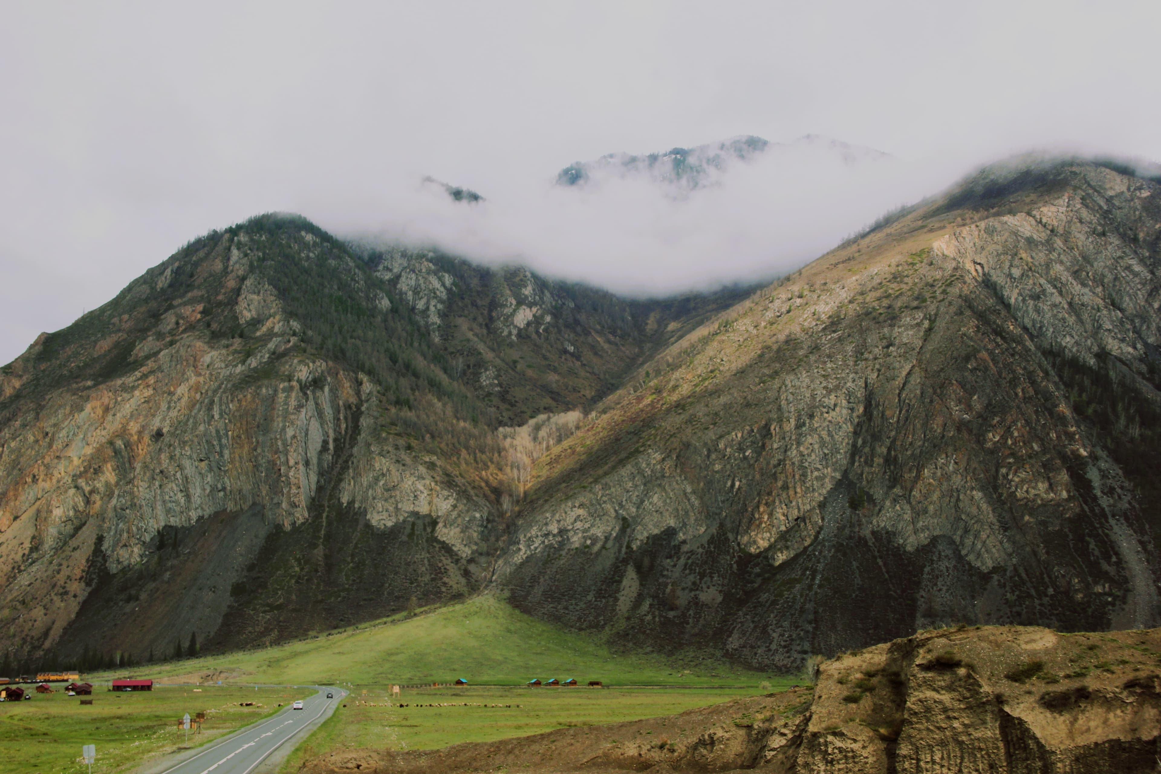 Цветение Маральника на Алтае - фото 9