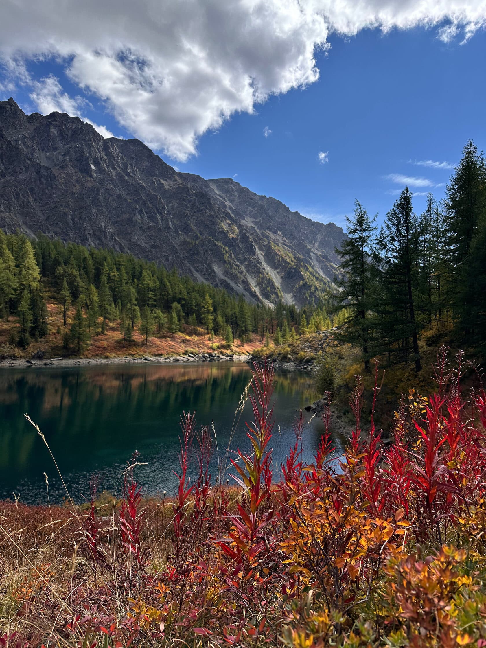 7 ДНЕВНЫЙ ТУР ПО ЗОЛОТОМУ КОЛЬЦУ ГОРНОГО АЛТАЯ - фото 10