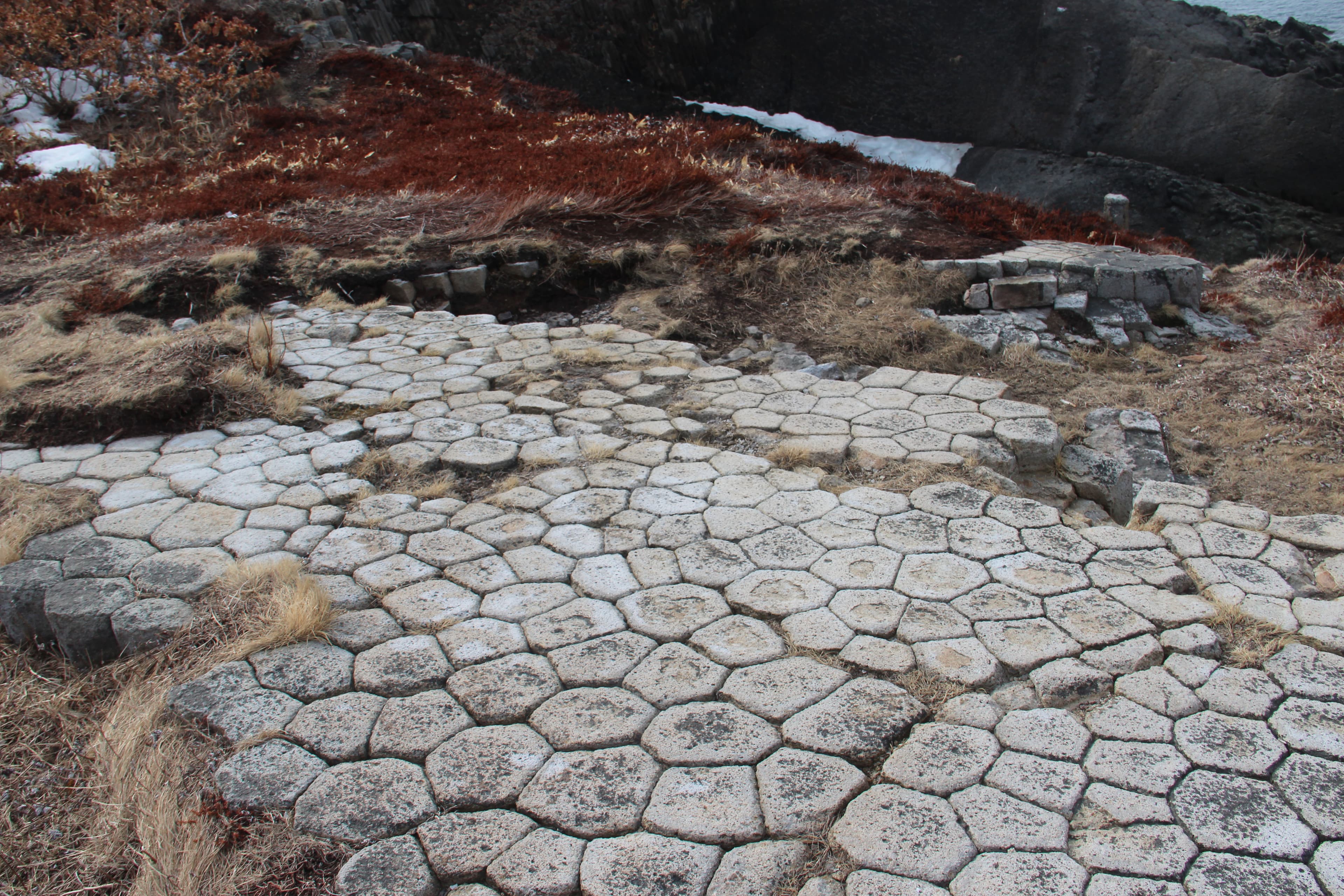 Экскурсия на мыс Столбчатый - фото 9