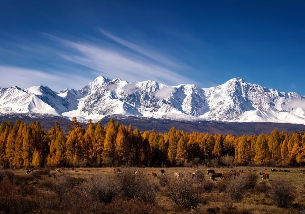 Большой Алтай. 5 дней. - фото 6