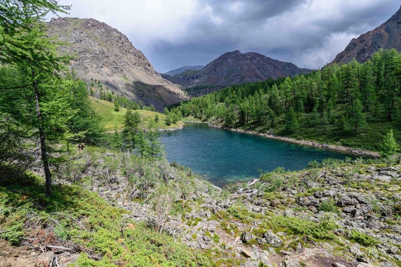 Тропами Алтая - фото 7