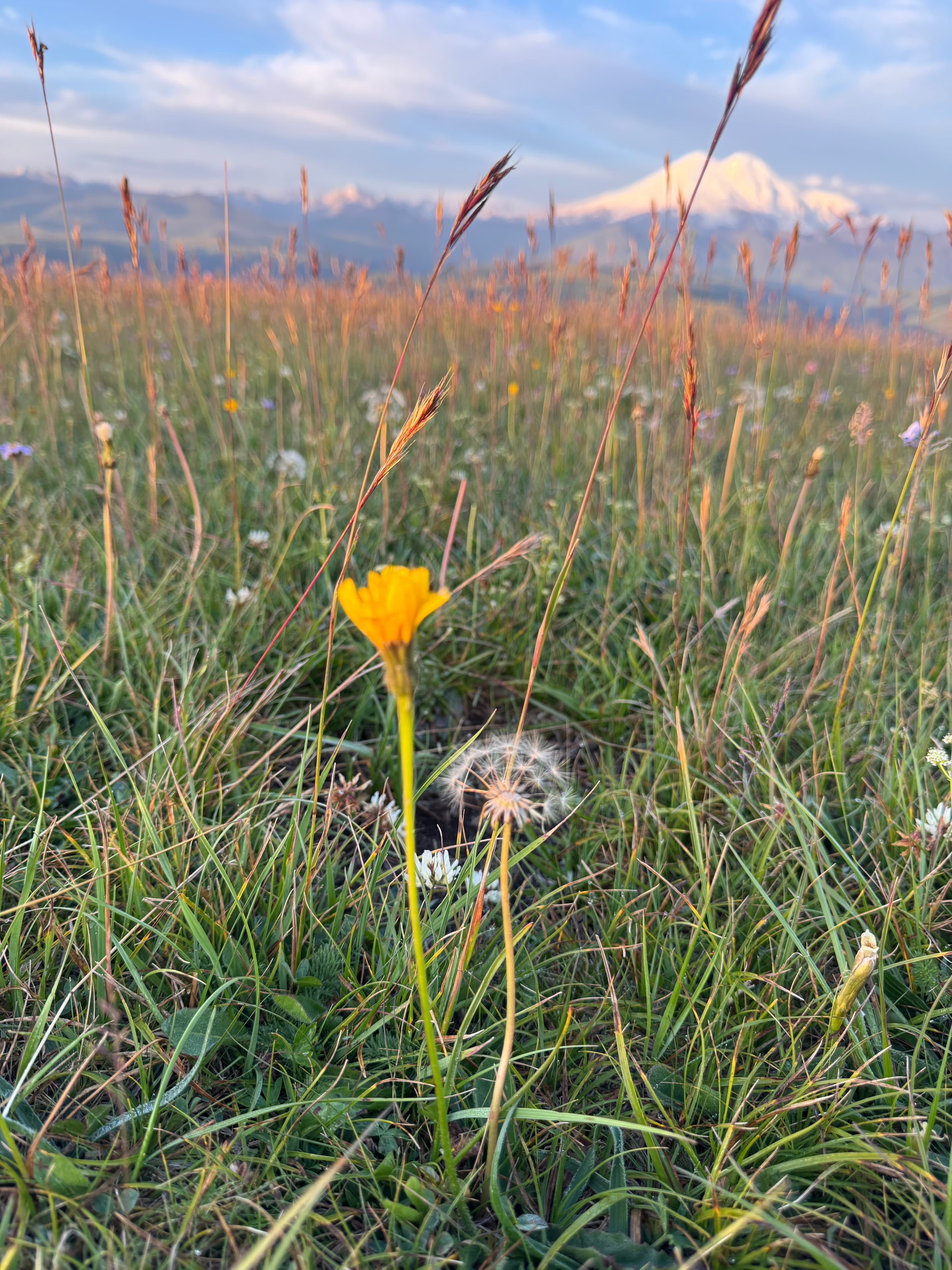 Однодневный тур в Джилы Су