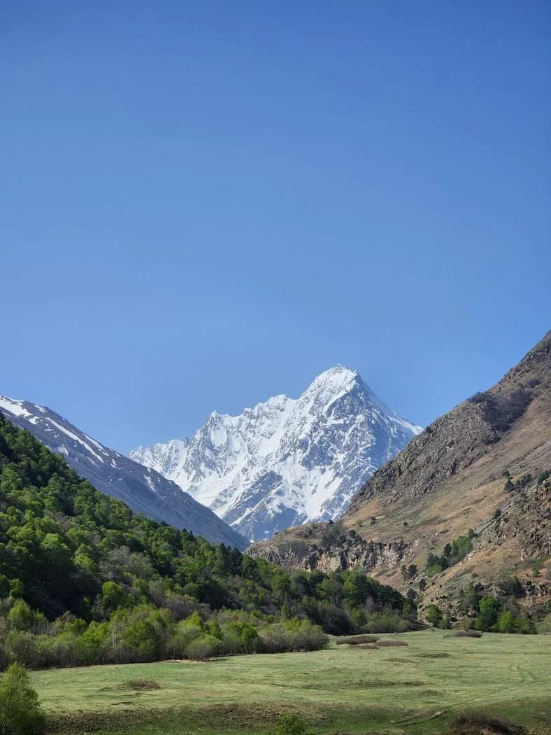 Чегем. Парапланы - фото 7