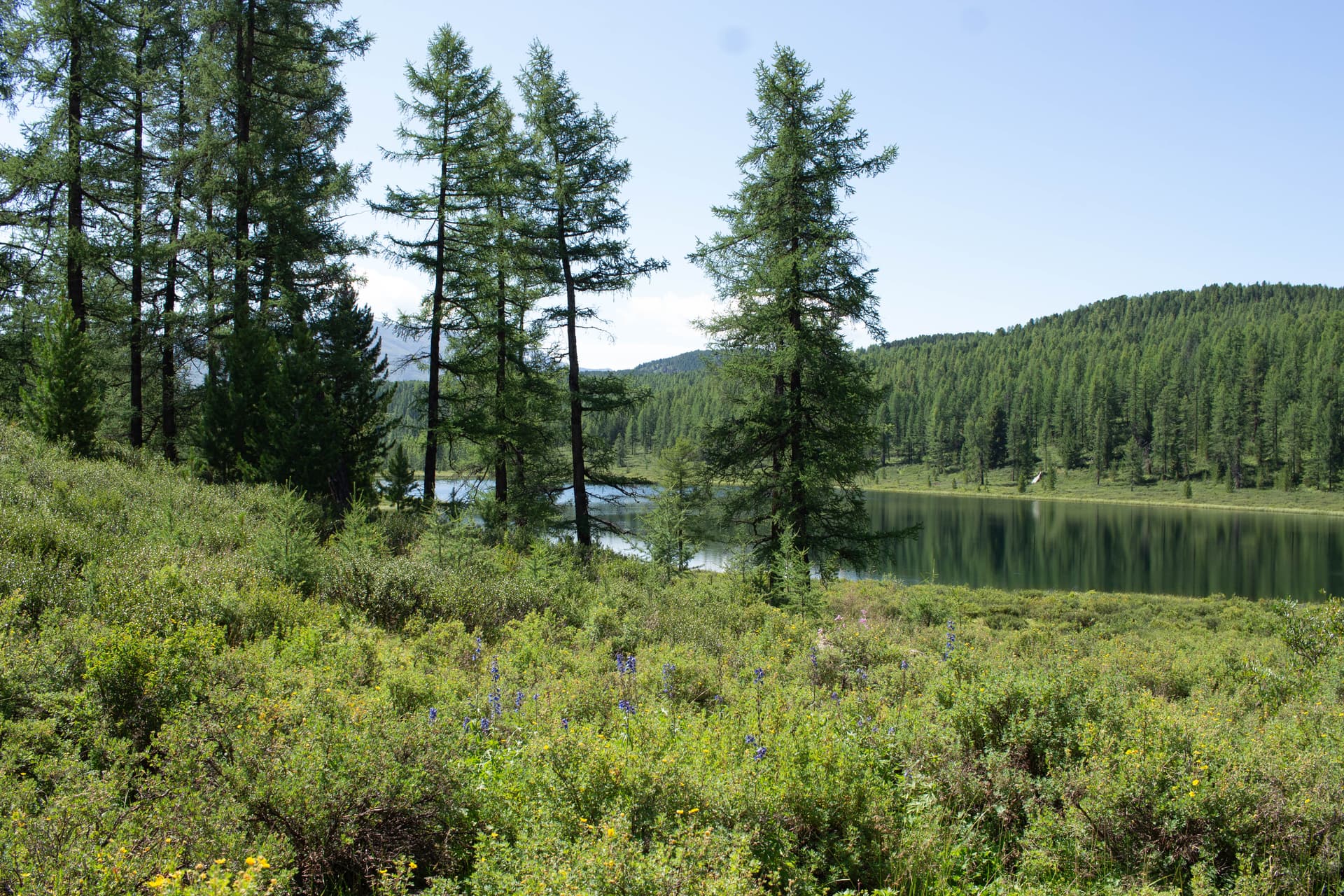 Алтай Драйв: 5 дней свободы. - фото 4
