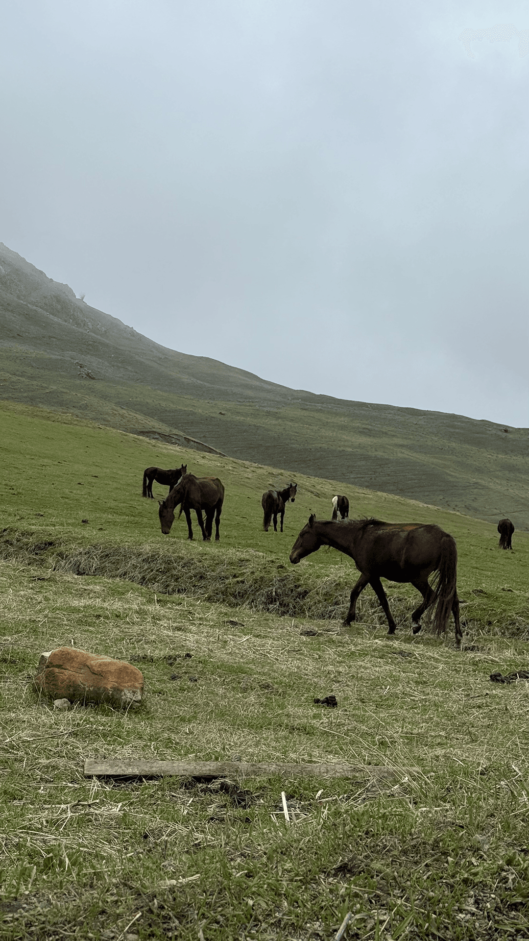 Кавказ на майские - фото 2