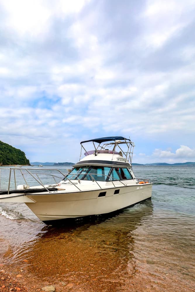 Гастротур на островах и морские тюлени - фото 6