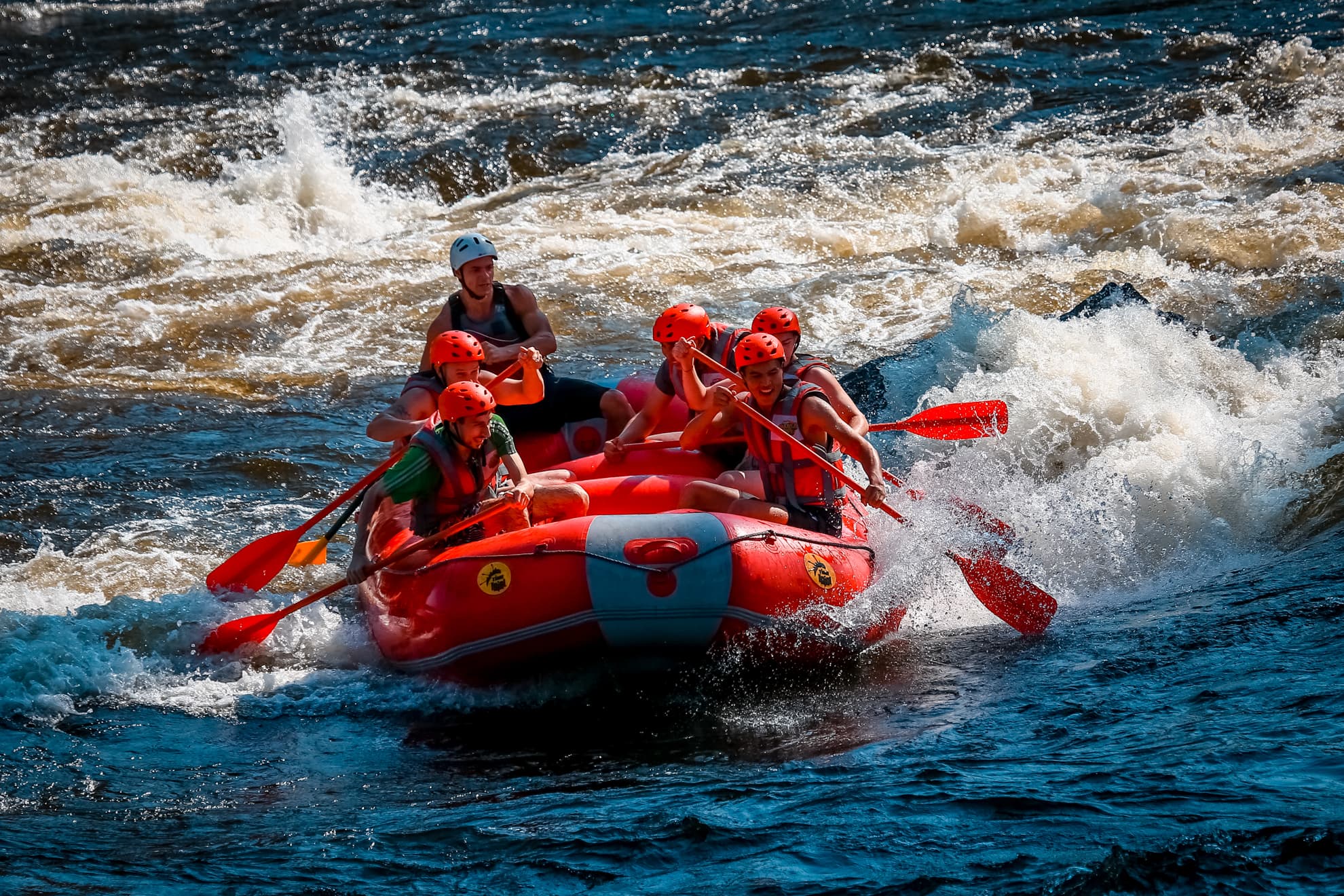 ВОДНЫЙ МИР ПРИЛАДОЖЬЯ. Лето 2026