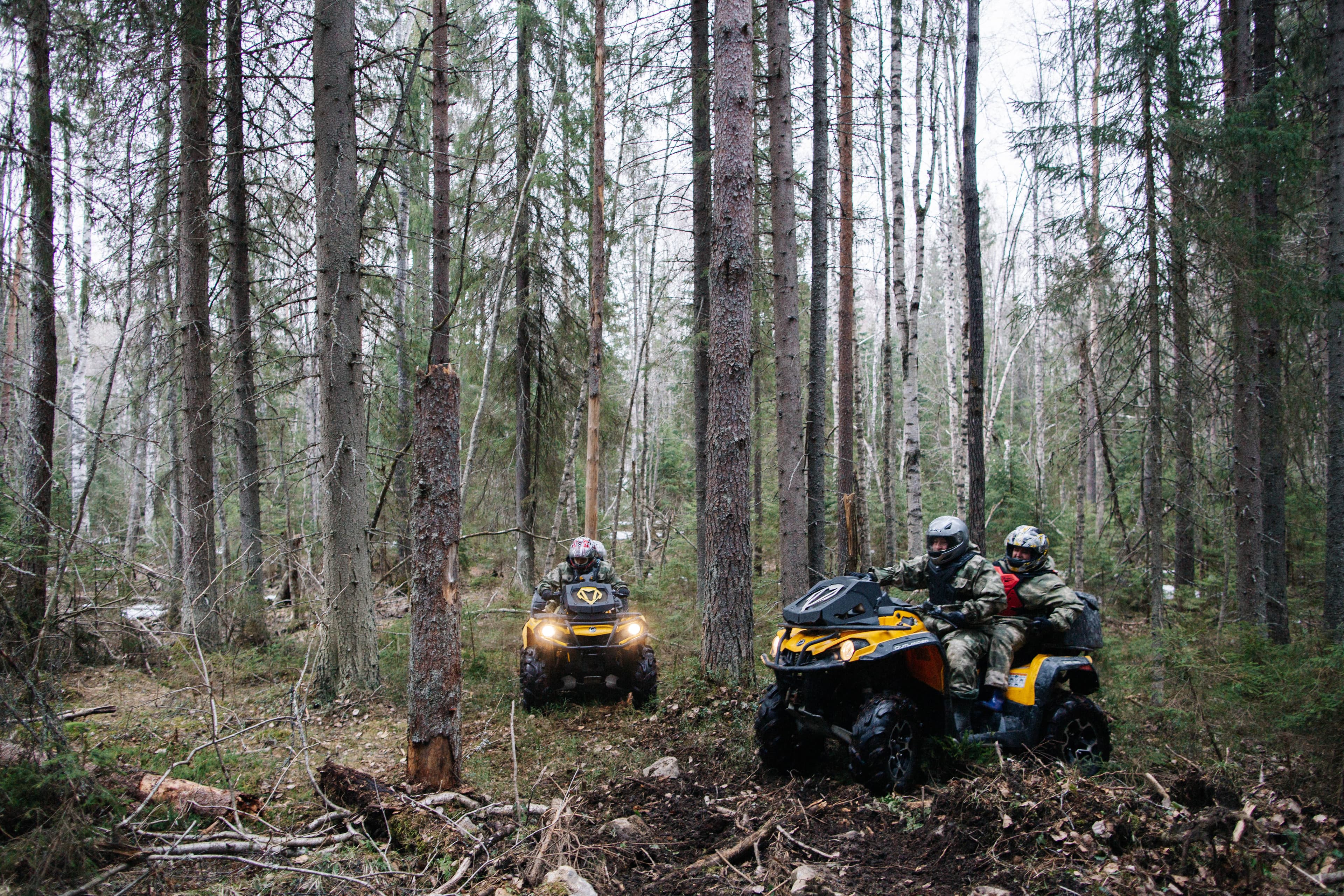 День 1. На квадроциклах по таежным лесам и мастер класс по настойкам