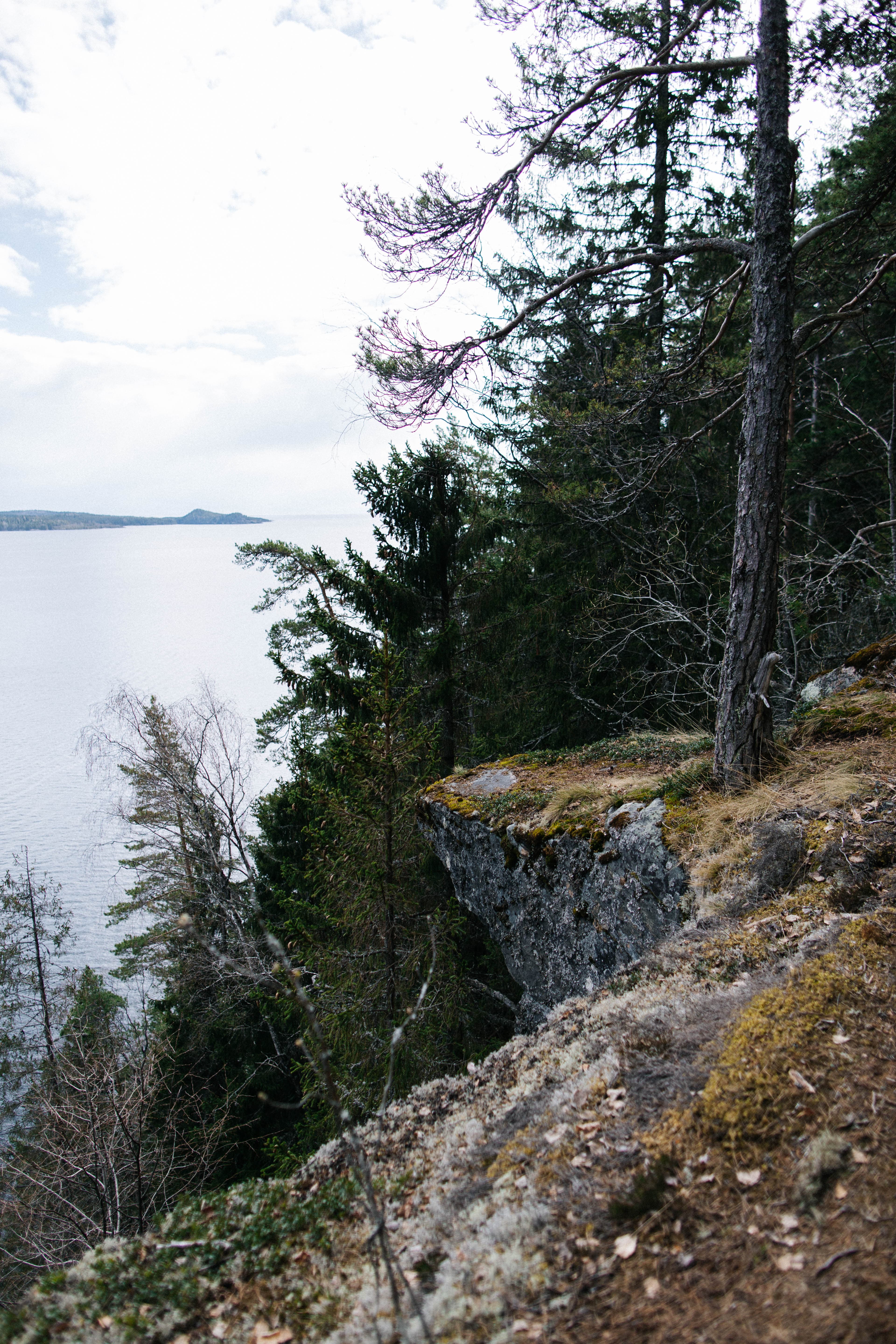 ПРИТЯЖЕНИЕ ЛАДОГИ. Лето 2026 - фото 2