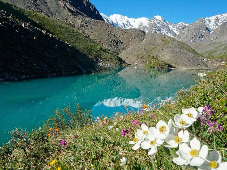 "Изумруды Алтая", легкий поход с вьючными лошадьми - фото 7