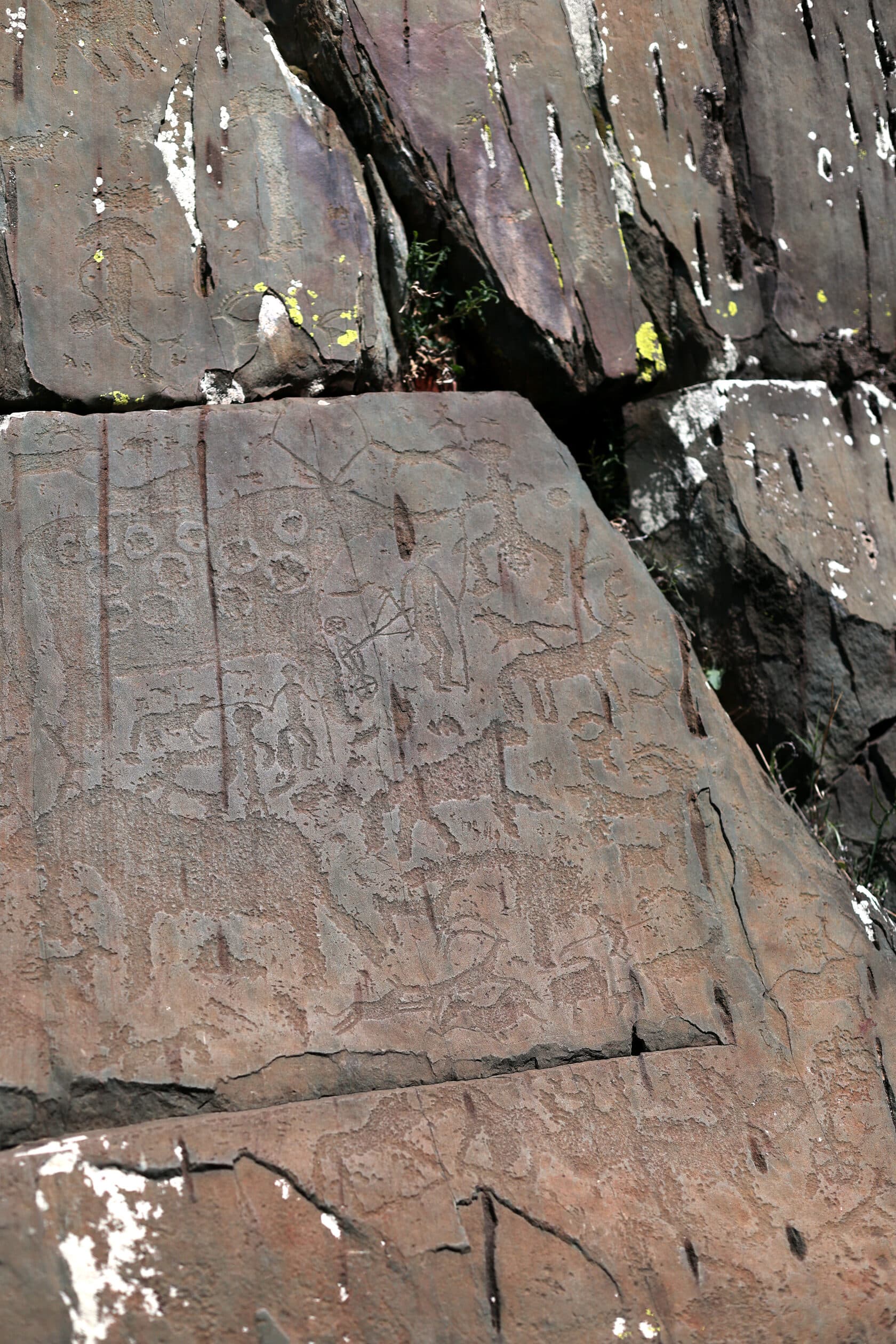 Чуйский тракт ( 4 дня ) - фото 7