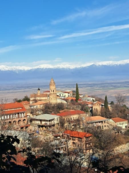 Грузия (Тбилиси + Сбор урожая в Кахетии + Батуми) - фото 7