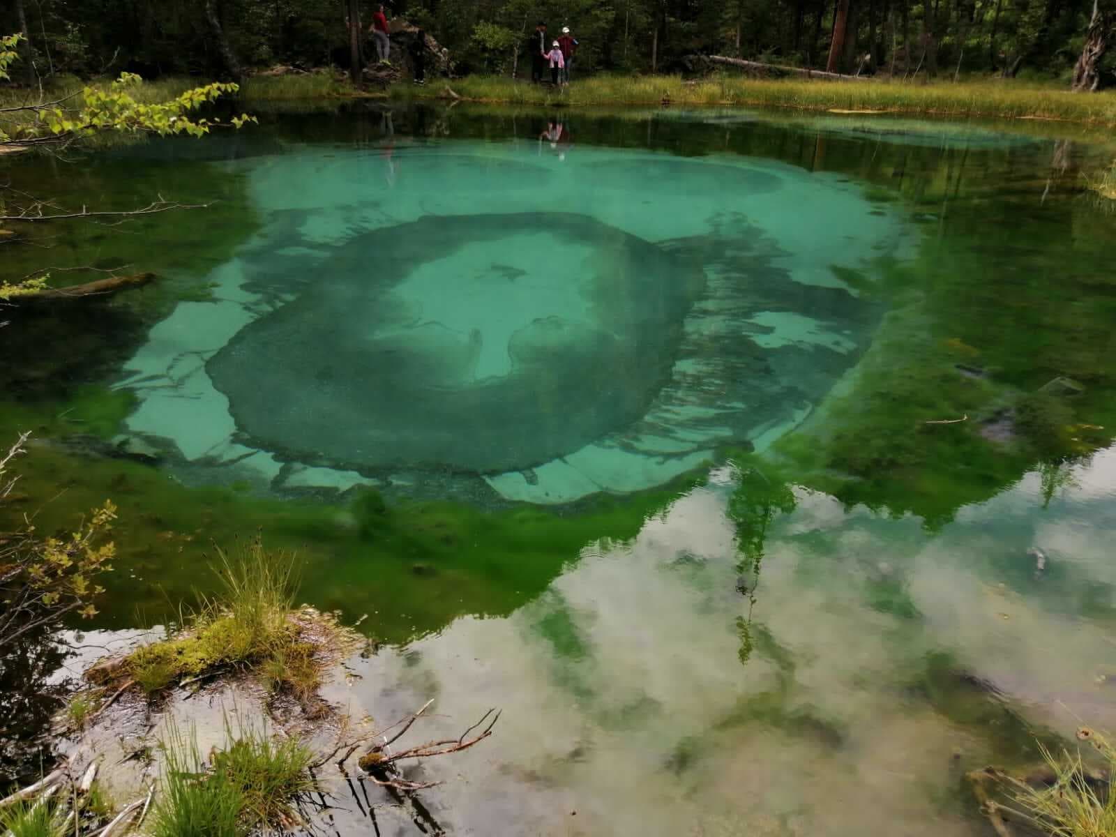 Алтайский калейдоскоп. Лето - фото 2
