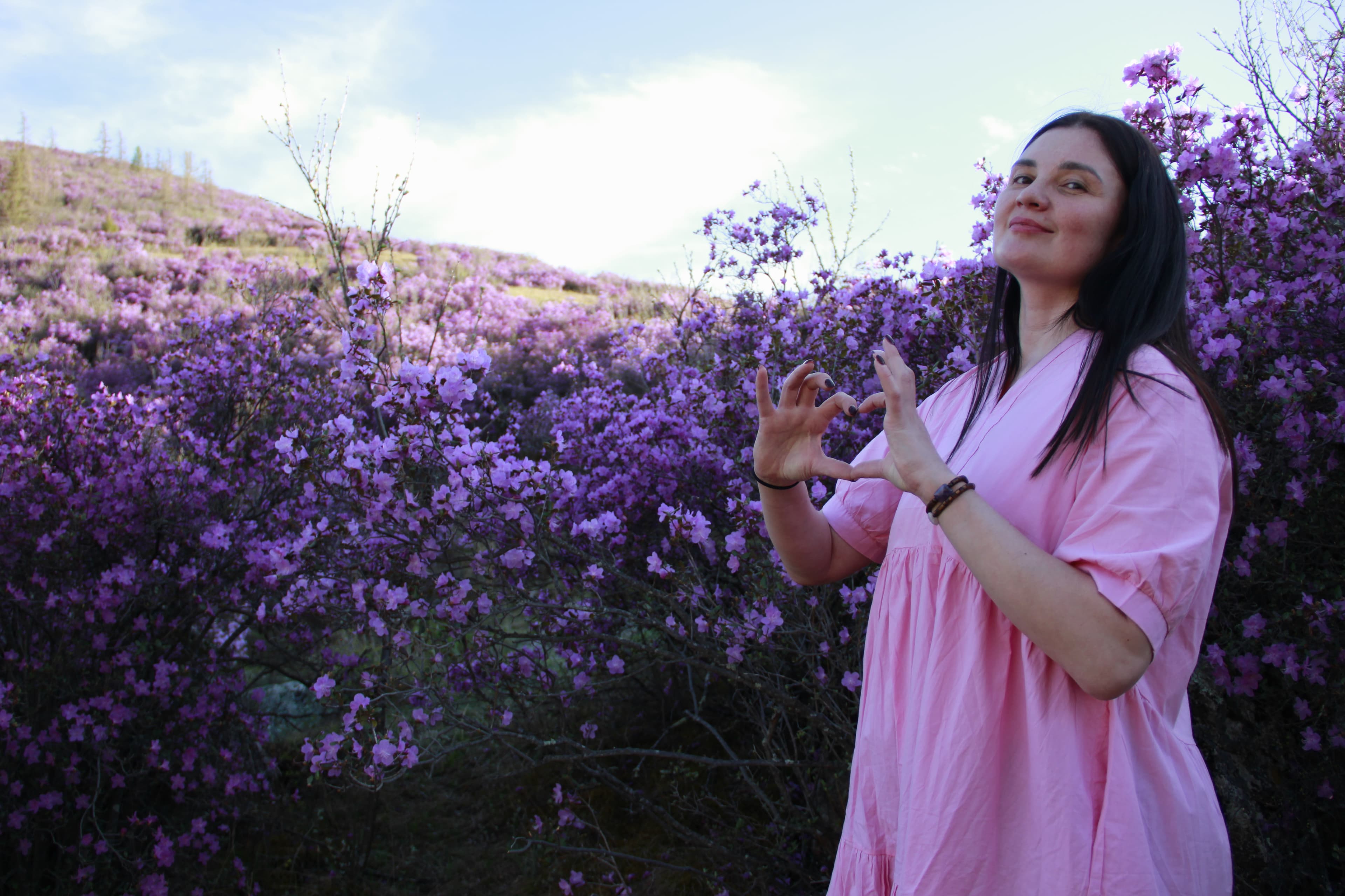 Цветение Маральника на Алтае