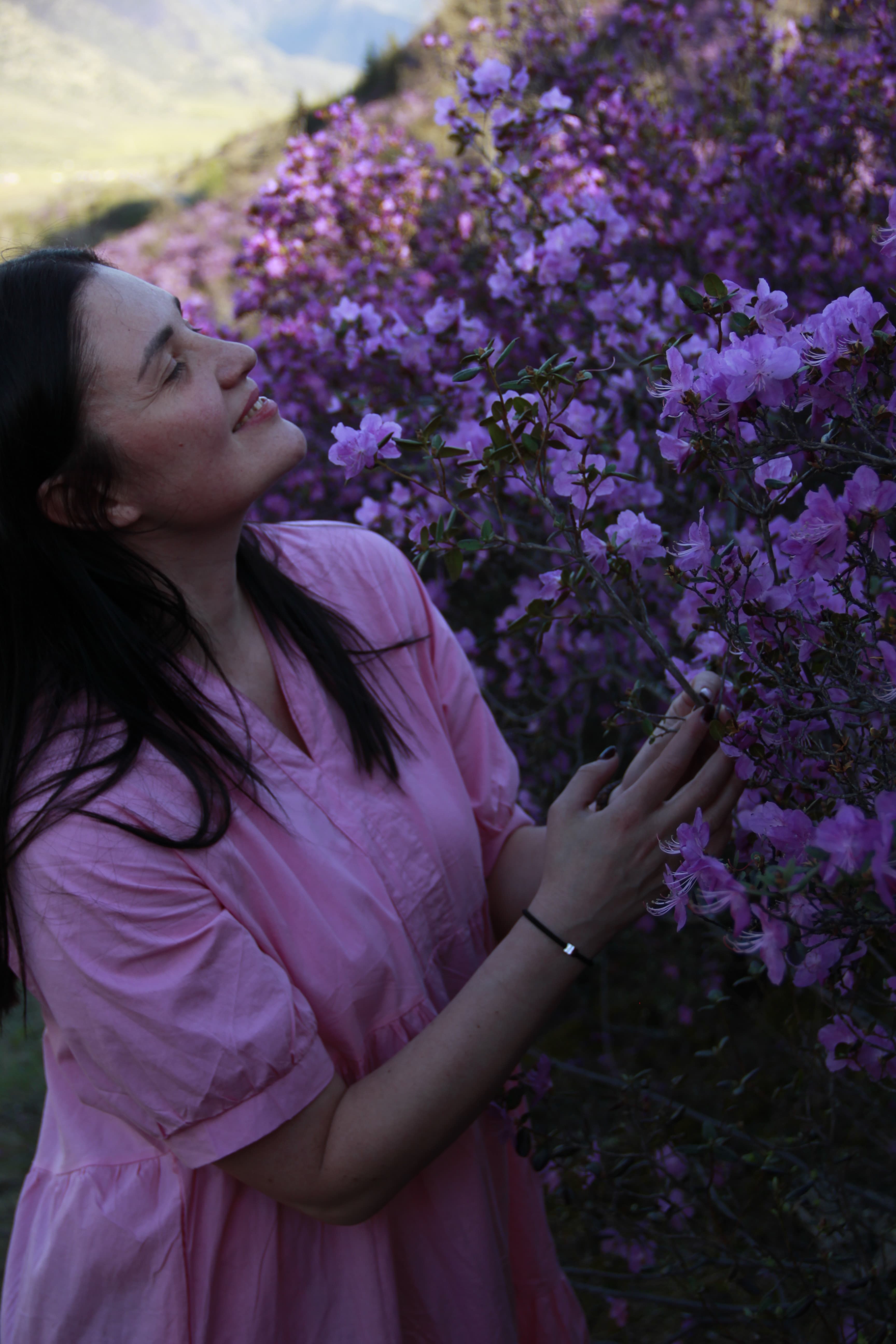 Цветение Маральника на Алтае - фото 1