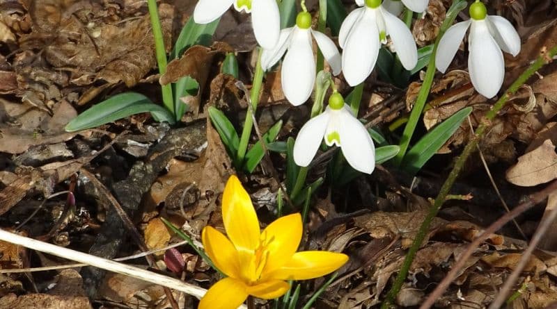 Поход на Аю-Даг (Место Силы). Тайны и загадки горы Медведь - фото 3