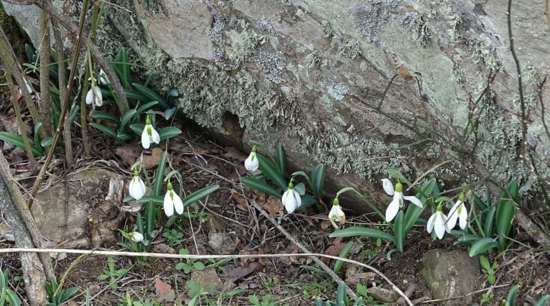 Поход на Аю-Даг (Место Силы). Тайны и загадки горы Медведь - фото 2