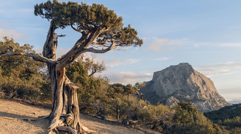 СУДАК - НОВЫЙ СВЕТ+ Храм Маяк - фото 7