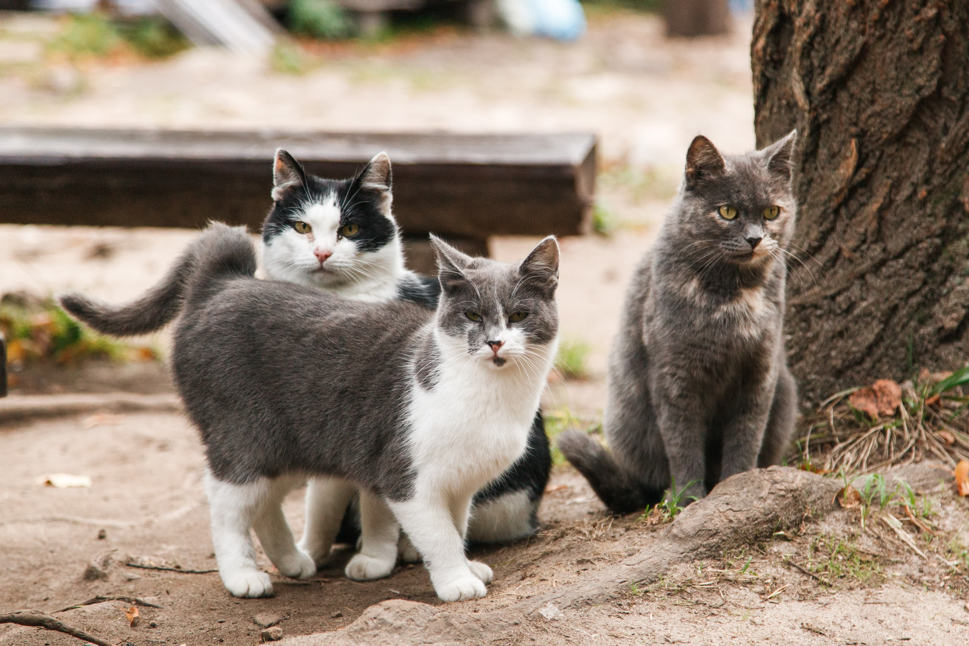 Встреча в Челябинске, переезд в Таганай