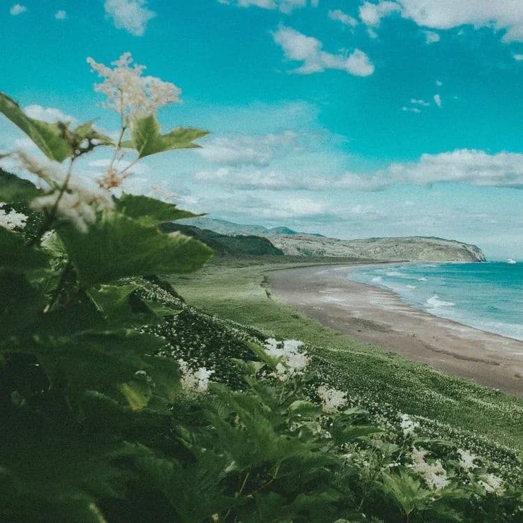 Путешествие на край света