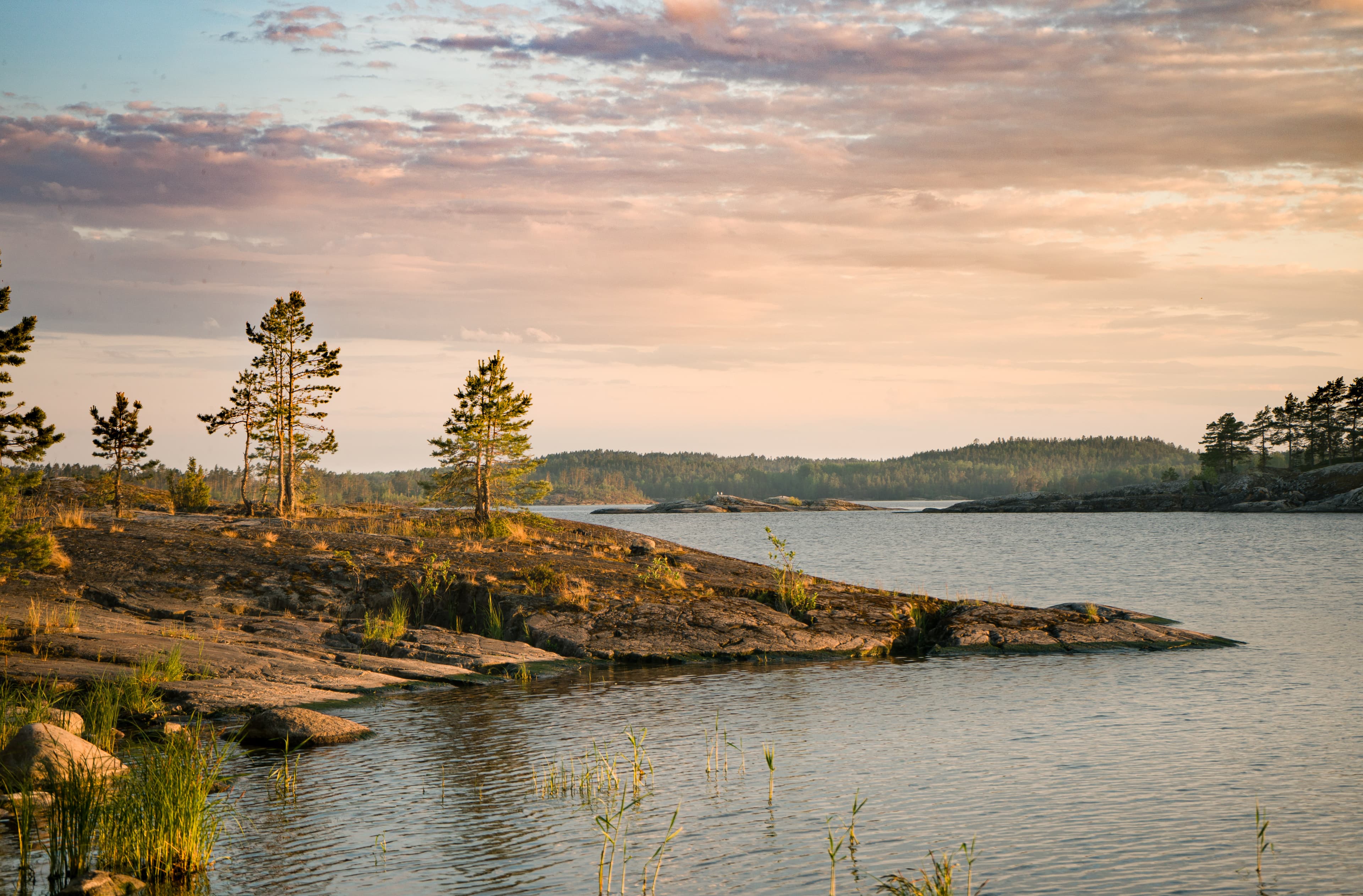 Встреча у метро Парнас и трансфер к Ладожскому озеру