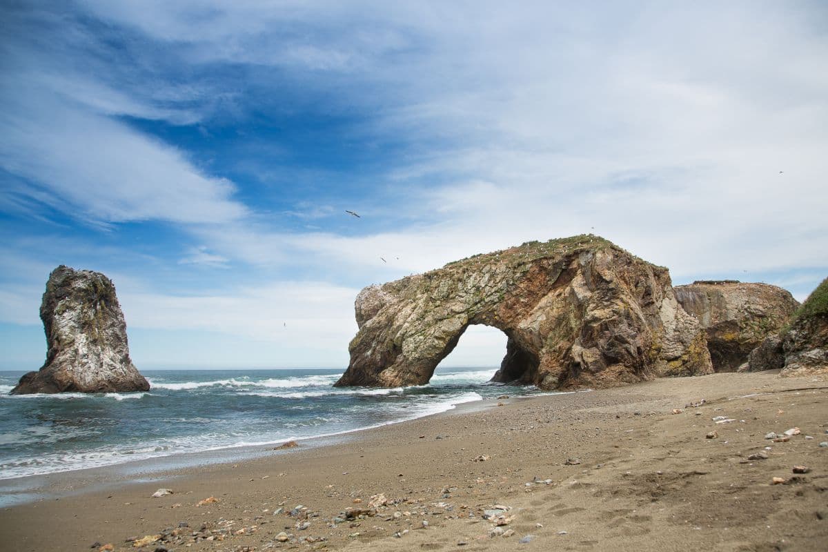 Экспедиция на Сахалин.Рыбалка мечты на Набильском заливе. - фото 8