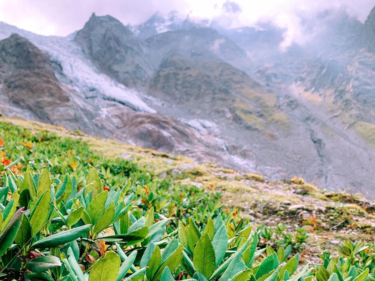 «Страна Нартов: Экспедиция в сердце легенд» 4 Дня / 3 Ночи - фото 4
